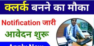 IBPS RRB Clerk Vacancy 2024 : 9995 पदों पर भर्ती के लिए आवेदन की लास्ट डेट बढ़ी