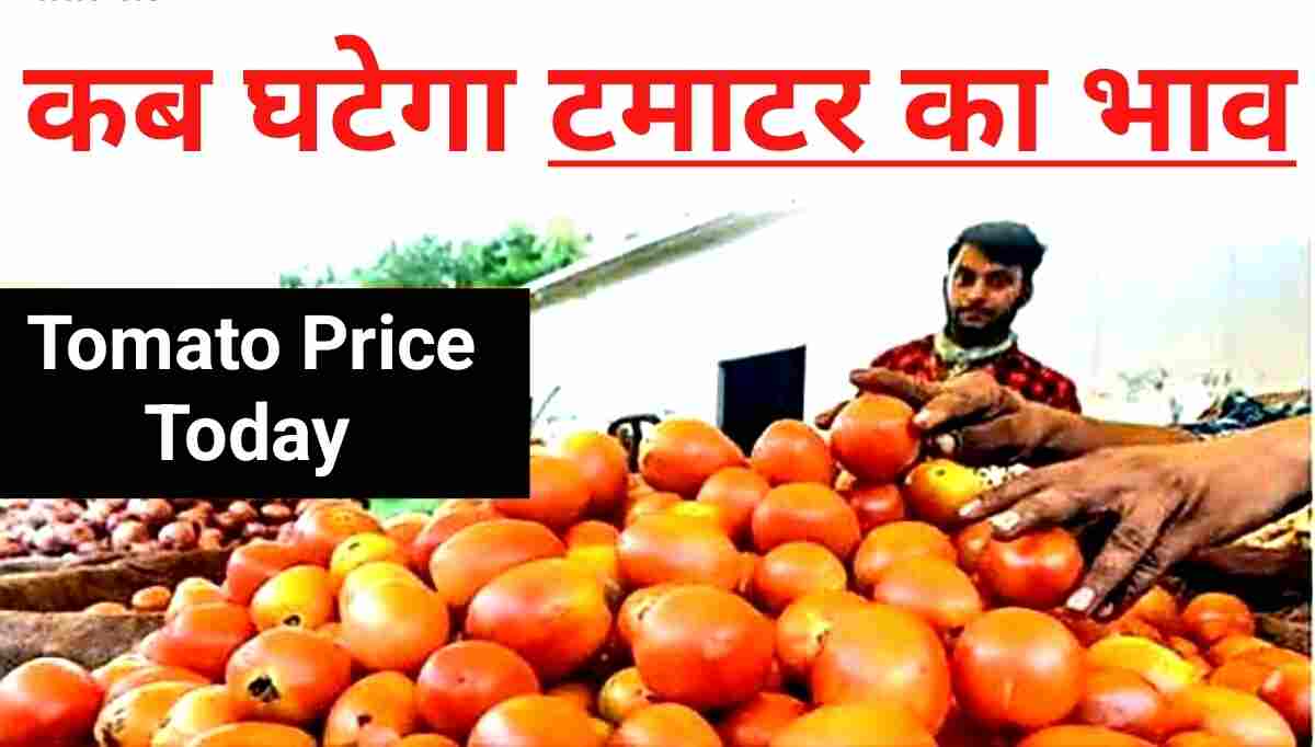 Tomato Price Today टमाटर के भाव 160 रुपए किलो, सरकार ने बताया कब होगा