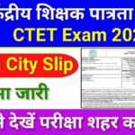 CTET Exam City Slip 2024