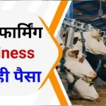 Dairy Farming Business
