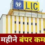 LIC Agent