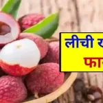 Litchi Fruit