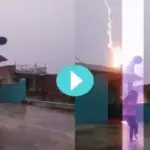 Viral Video