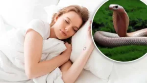 Dream interpretation about snake