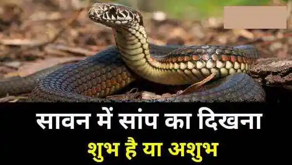 Dream Science About Snake