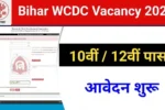 Bihar wcdc vacancy 2024