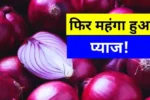 Onion Price Hike