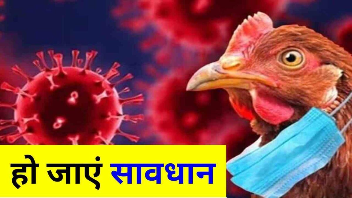 Bird Flu Alert
